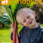 rundblick-magazin-2022-04-211×300