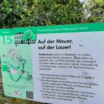 Stadtmauer Unna