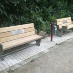NEUE BÄNKE BORNEKAMP (2)