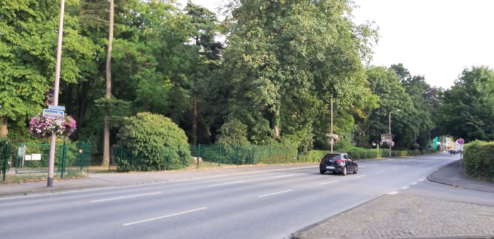 Beethovenring Sommer 2022