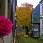 Herbst – Nicolaiviertel UN