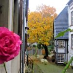 UN Nicolaiviertel Herbst