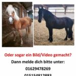 received_413725560852652