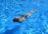 Sexueller Kindesmissbrauch in Dortmunder Schwimmbad: Fotofahndung zehn Monate später