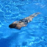 Sexueller Kindesmissbrauch in Dortmunder Schwimmbad: Fotofahndung zehn Monate später