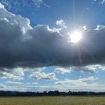 received_1510383562729601