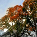Waffelstübchen Güldener Trog Herbst