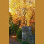 Herbst Stadtmauer