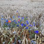 FB_IMG_1629407189018