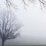 FB_IMG_1640017449655