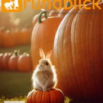 rundblick-oktober-2022