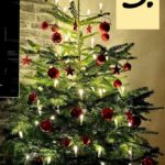 Weihnachtsbaumchallenge Runde 2 – 38 Likes(1)