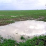 Pfütze Regen Wiese Wasser Flut