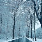 Winter Frö Ostbüren