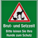 brut und setzzeit