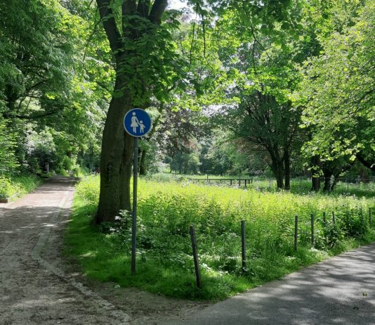 SPD will Bornekamp wie den Kurpark aufwerten – 30.000 € einplanen