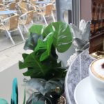 Café Cappuccino blick nach draußen