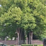 Jüdischer Friedhof Unna
