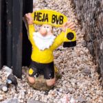 BVB heja