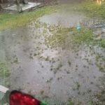 FB_IMG_1703324568125