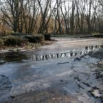Kurpark Wasser Wege