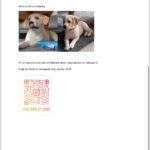 received_411202284619702