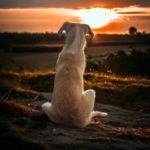 FB_IMG_1706457218099
