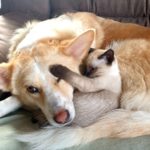 FB_IMG_1708194029730