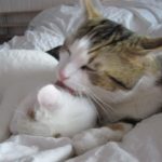FB_IMG_1709630351636