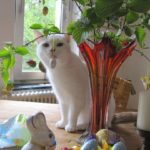 FB_IMG_1711550493151