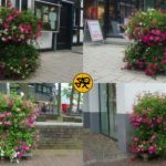 Blumen Innenstadt Unna