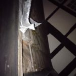 FB_IMG_1725786315416