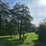 Opherdicke Blick ins Ruhrtal