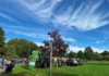 Silberjubiläum im Fröndenberger Himmelmannpark: Zum 25. Mal herbstlicher Bauernmarkt