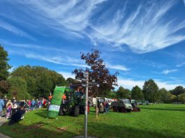 Silberjubiläum im Fröndenberger Himmelmannpark: Zum 25. Mal herbstlicher Bauernmarkt