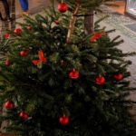 Weihnachtsbaum Bahnhofstr