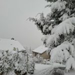 Schnee 9.1.25