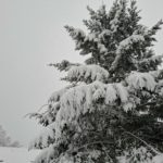 Schnee 9.1.25