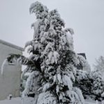 Schnee 9.1.25