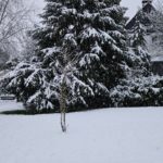 Schnee 9.1.25