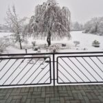 FB_IMG_1736431598546
