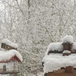 Schnee 9.1.25 Vogelhäuschen