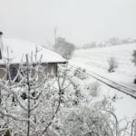 Schnee 9.1.25