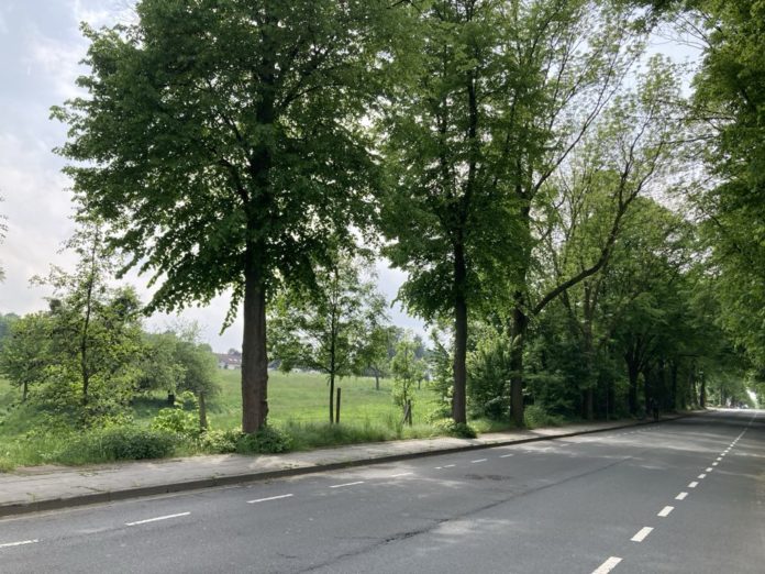 Morgenstraße Klopstrockstr