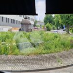 2024-0-27 Pflegezustand Kreisel Viktoria1