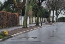 „Sind das neue Hundeklos? Warum macht die Stadt wieder Parkplätze weg?“