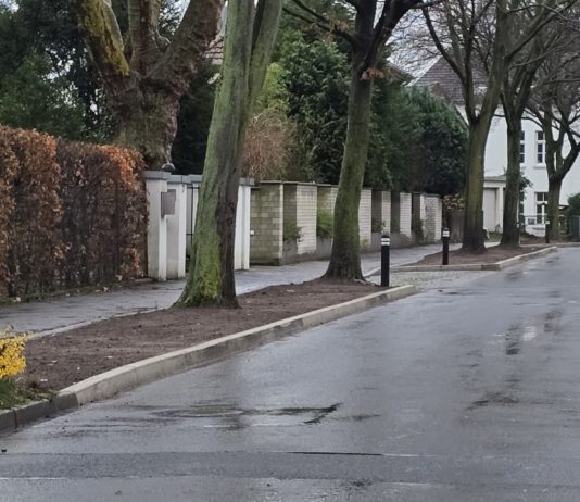 Verwunderung im Unnaer Süden: „Sind das neue Hundeklos? Warum macht die Stadt wieder Parkplätze weg?“