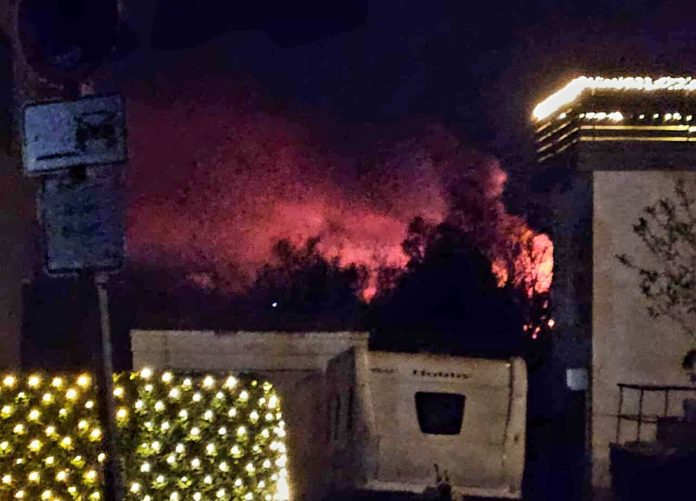 Business Suite_creation_811432175273488