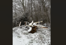 Halbe Wohnungseinrichtung in Overberge illegal entsorgt – EBB-Betriebsleiter für Videoüberwachung