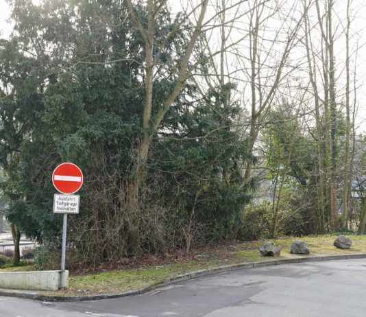 Stadt Unna kündigt Baumfällungen für Kanalsanierung an Tiefgarage Neumarkt an